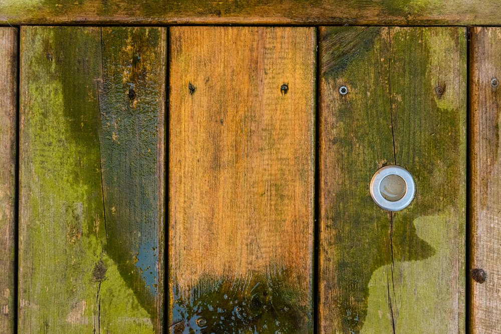 Green algae being washed off wooden deck boards